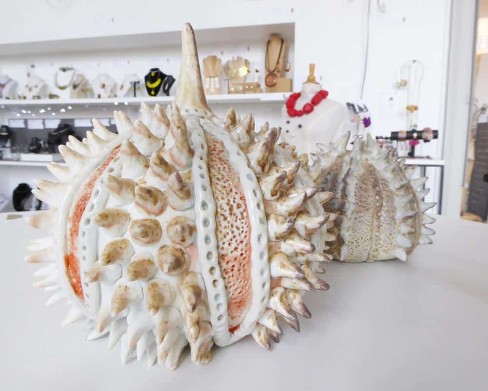 Oursin en porcelaine créé par Sylvie ERHART, Les Ateliers de Moussanas, Céramiste
