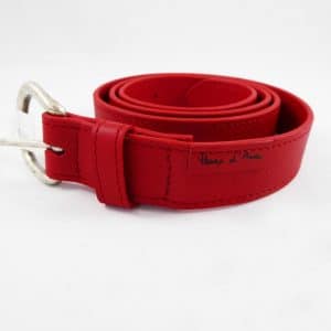 Ceinture rouge - Anne Rambaud