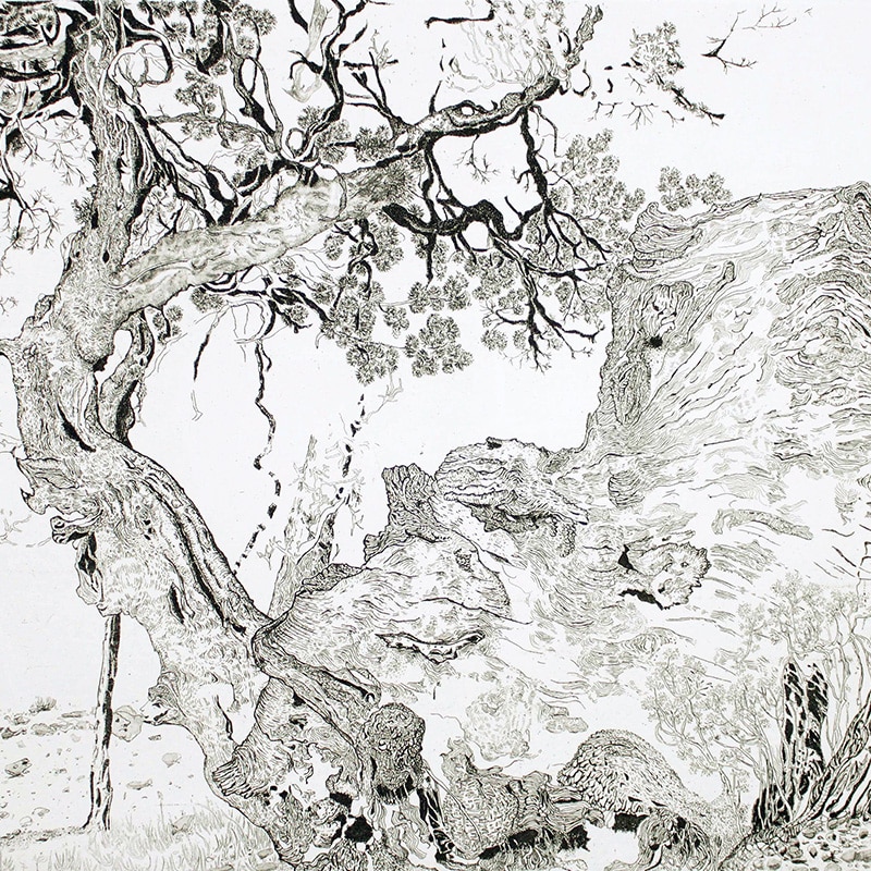 Landry GICQUIAUX – L’Estampe Bleue